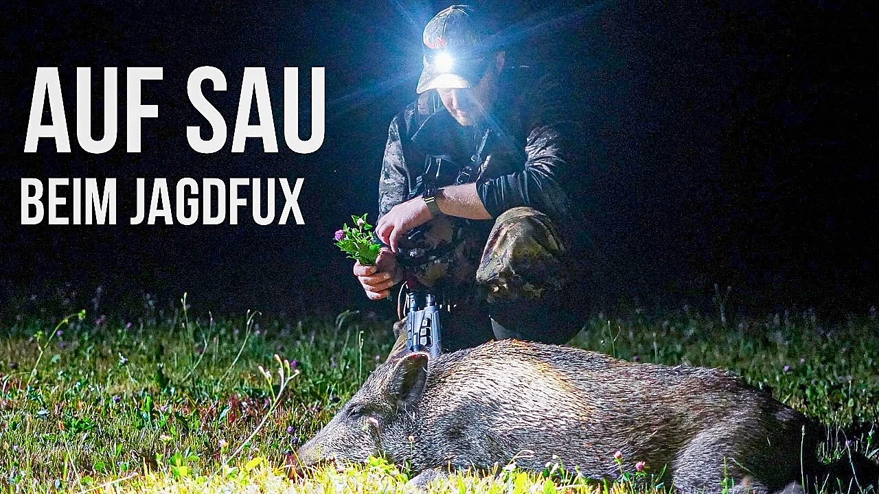 Auf Sau beim Jagdfux
