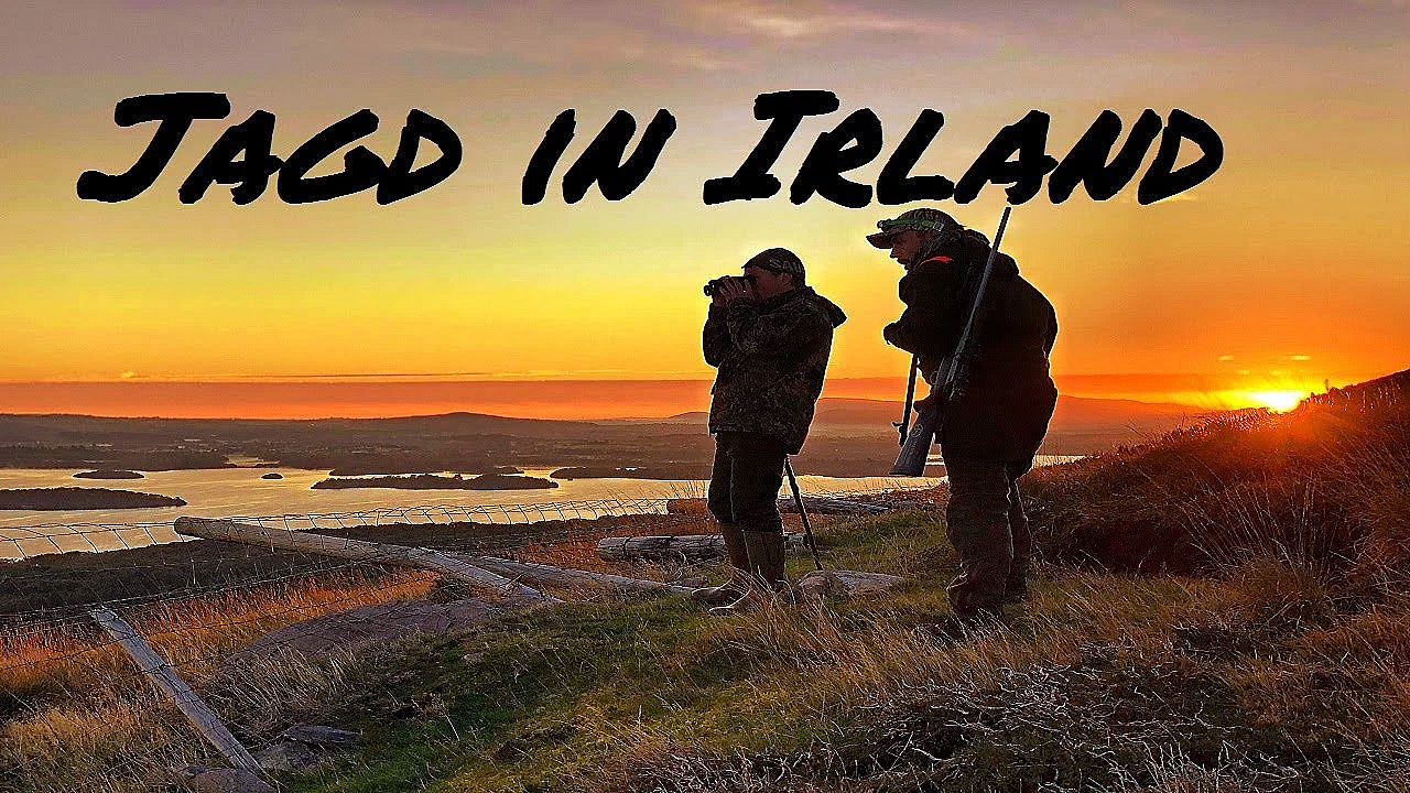 Jagd In Irland Teil 1