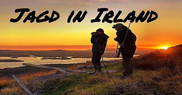 Jagd In Irland Teil 1