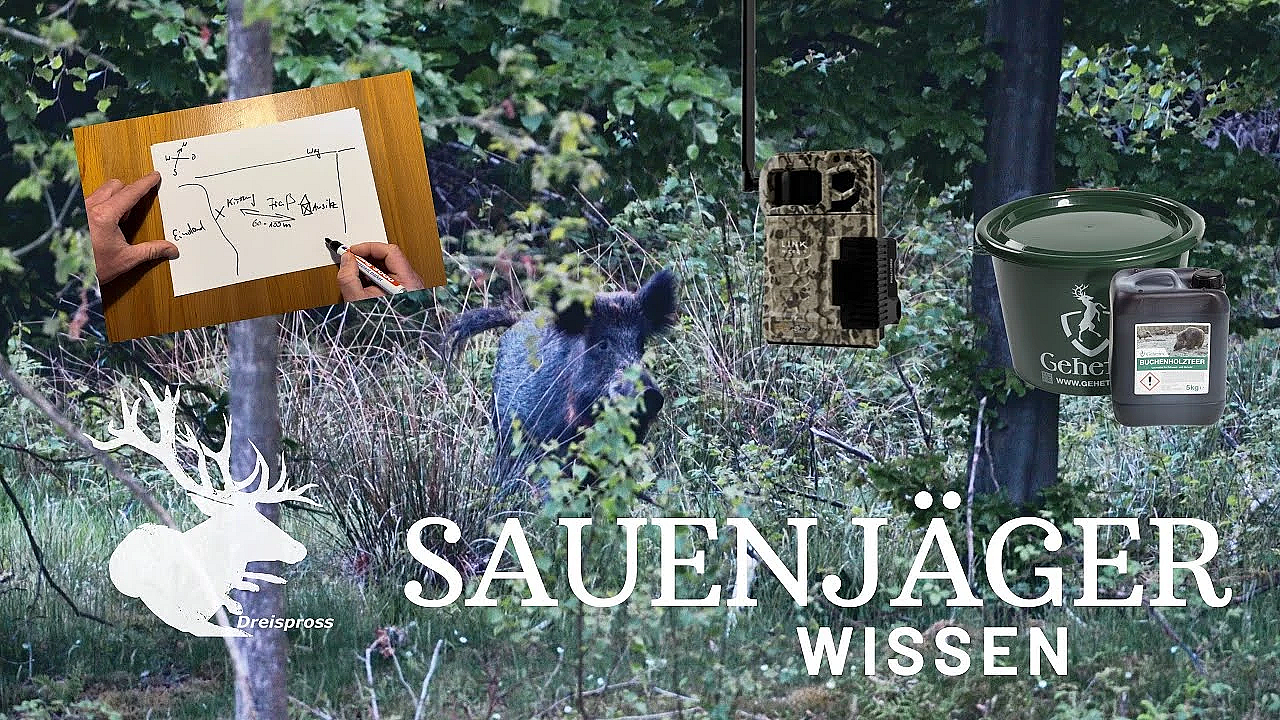 Wie locke ich Wildschweine? #Kirrung SAUENJÄGER |  HOD Free Episode