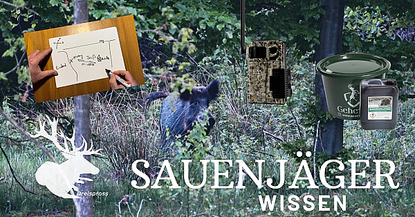 Wie locke ich Wildschweine? #Kirrung SAUENJÄGER |  HOD Free Episode