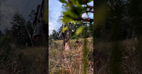 Beute Als Jagderfolg Ist Ein Prägendes Merkmal Unseres Tuns. #jagd