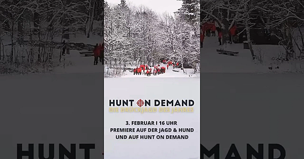 DrÜckjagd Des Jahres 2024 #werbung