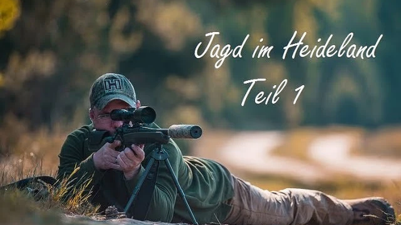 Jagd Im Heideland