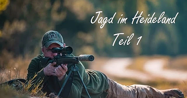 Jagd Im Heideland