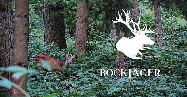 Bockjäger 11 Trailer