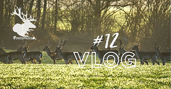 Jagd Dreispross Vlog #12