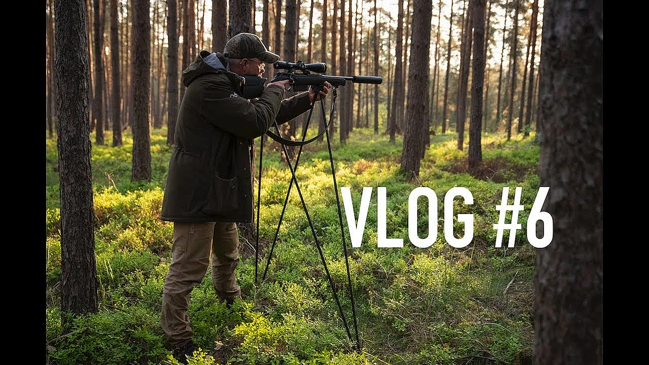 Jagd Dreispross Vlog#6