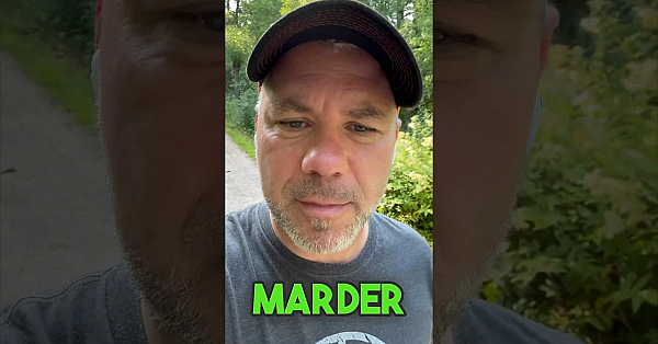 Hattet Ihr Schon Besuch Vom Marder? #marderschutz