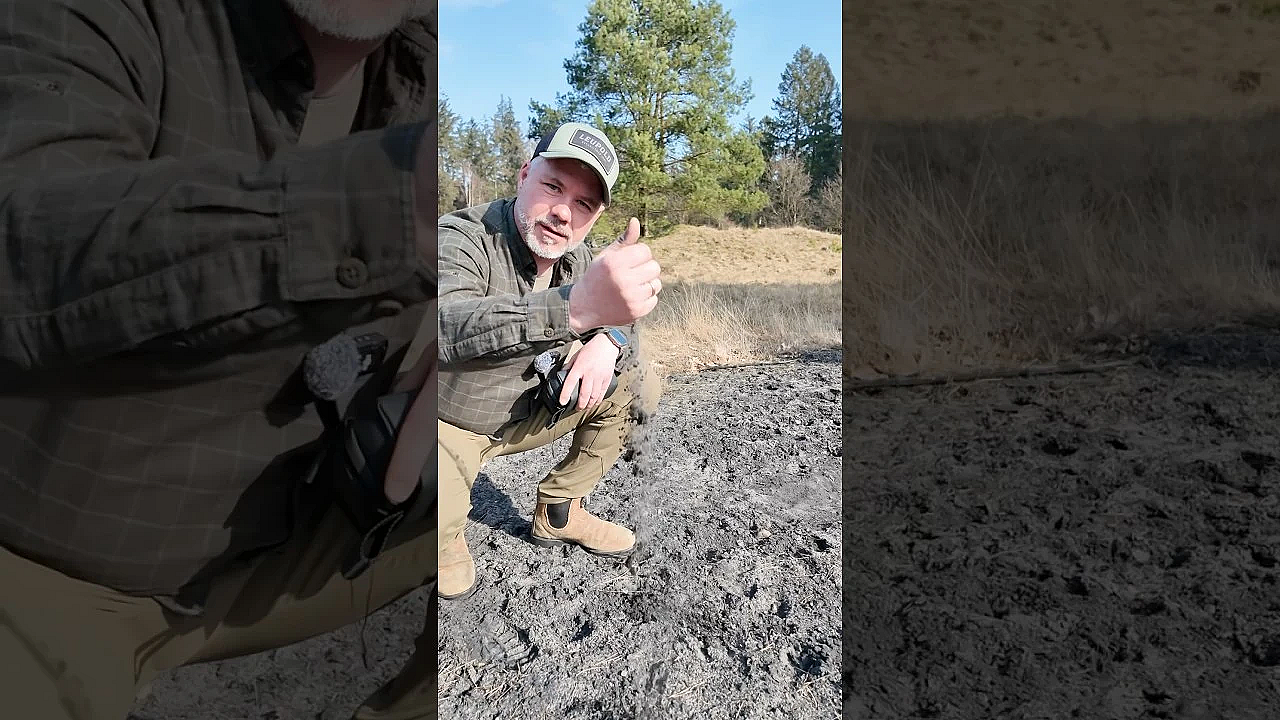 Baden Hirsche Im Sand?