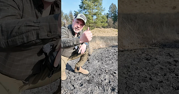 Baden Hirsche Im Sand?