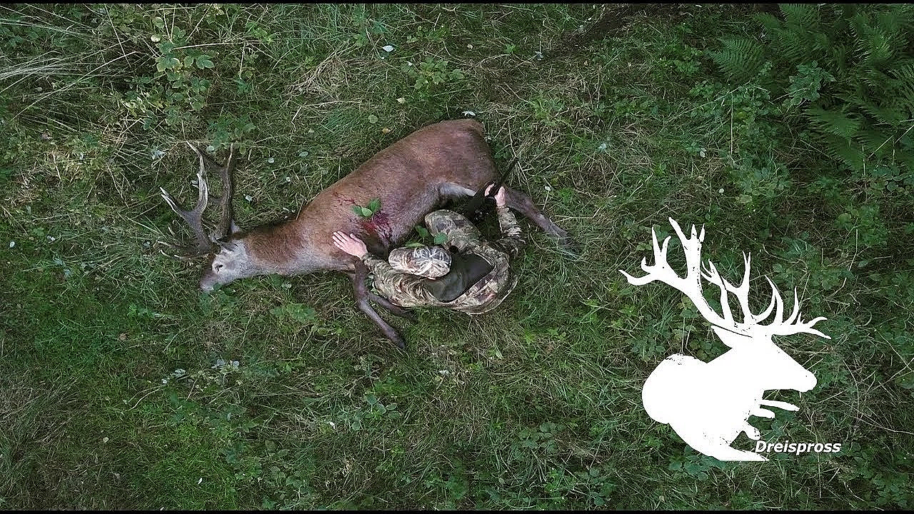 Trailer Hirschjagd In Polen
