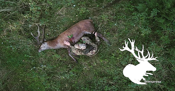 Trailer Hirschjagd In Polen