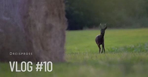 Jagd Dreispross Vlog #10