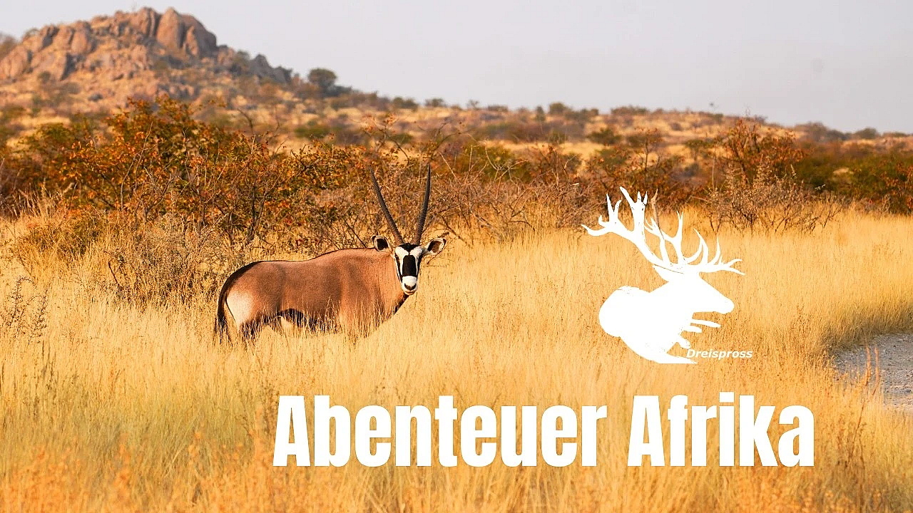 Namibia, Du bist so wunderschön #abenteuerafrika