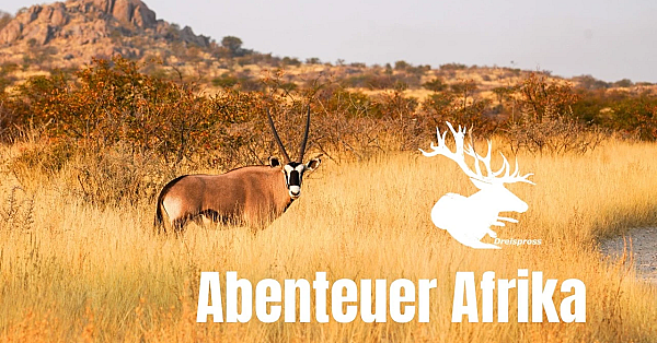 Namibia, Du bist so wunderschön #abenteuerafrika