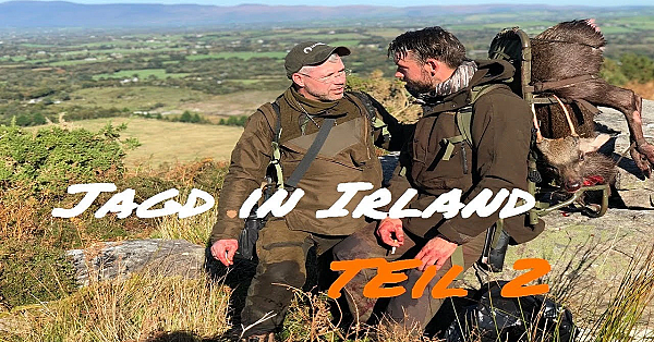 Jagd In Irland Teil 2