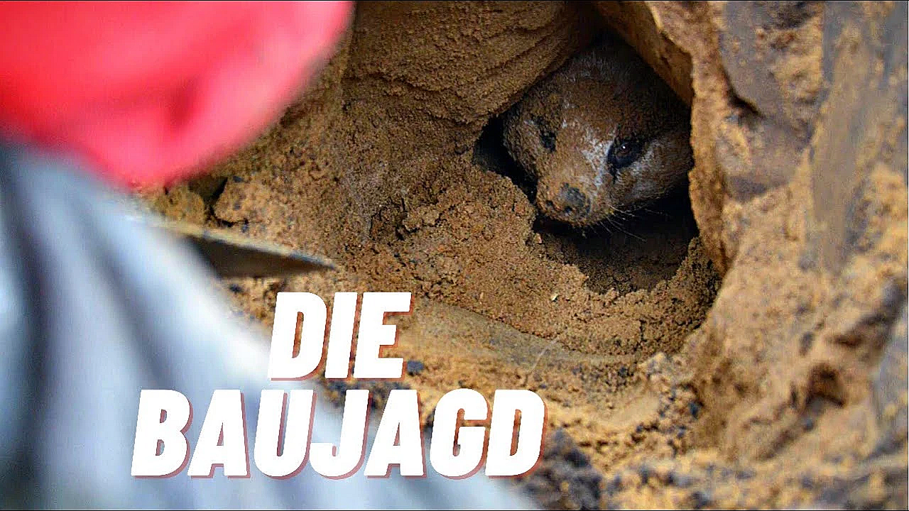 Ein Berufsjäger Erklärt. Die Baujagd _trailer