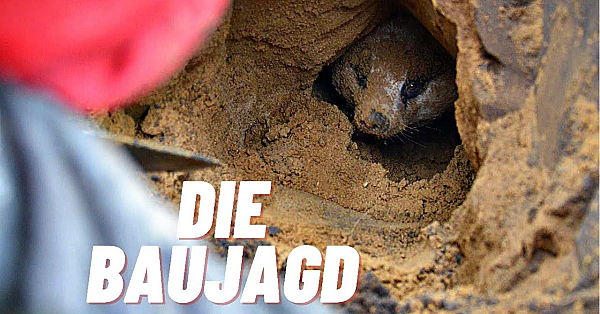 Ein Berufsjäger Erklärt. Die Baujagd _trailer