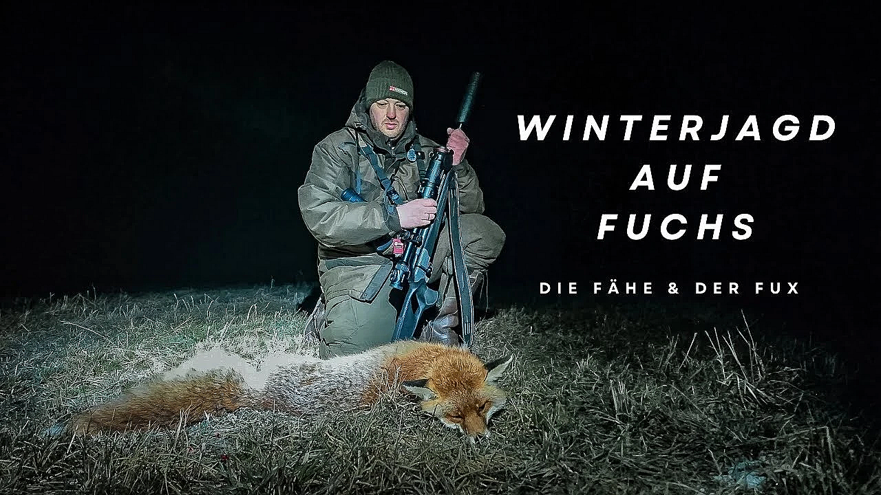 Winterjagd Auf Fuchs. Die FÄhe &amp; Der Fux