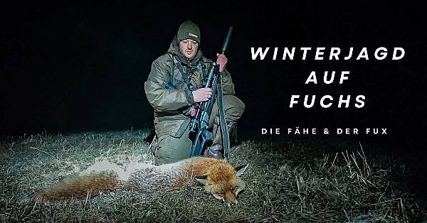 Winterjagd Auf Fuchs. Die FÄhe &amp; Der Fux