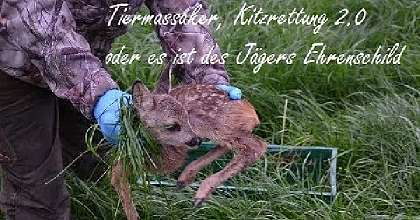 Tiermassaker, Kitzrettung 2.0 Oder Es Ist Des Jägers Ehrenschild
