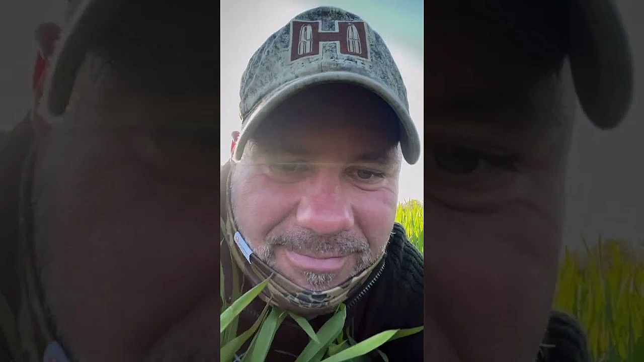 Weißes Reh #whiteroe