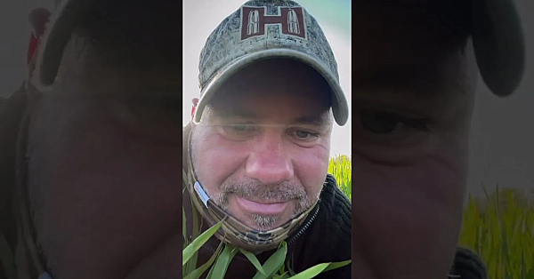 Weißes Reh #whiteroe