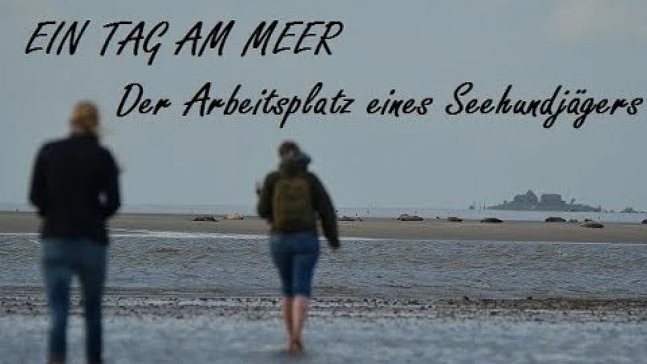 Expedition Wattenmeer