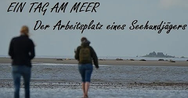 Expedition Wattenmeer