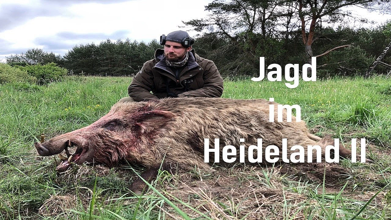 Jagd Im Heideland Ii