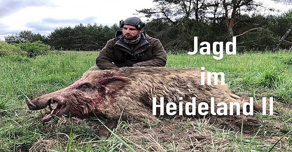 Jagd Im Heideland Ii