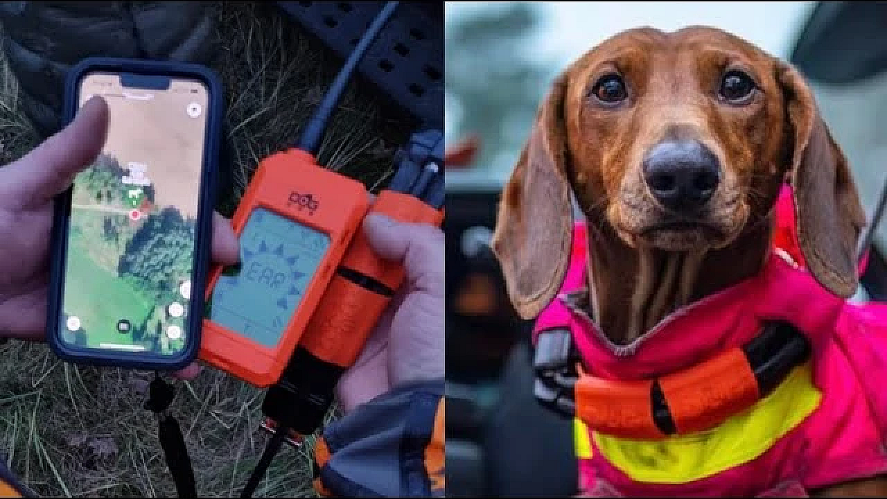 Hundeortung Mit Dem Dogtrace X30