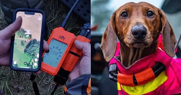 Hundeortung Mit Dem Dogtrace X30