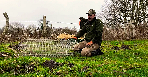 Diy Entenbruthilfen Bauen