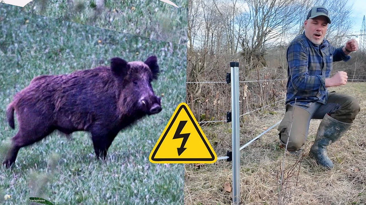 Wildschweinzaun von @weidezauninfo
