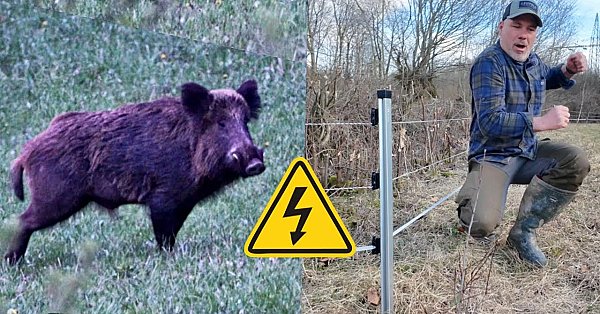 Wildschweinzaun von @weidezauninfo