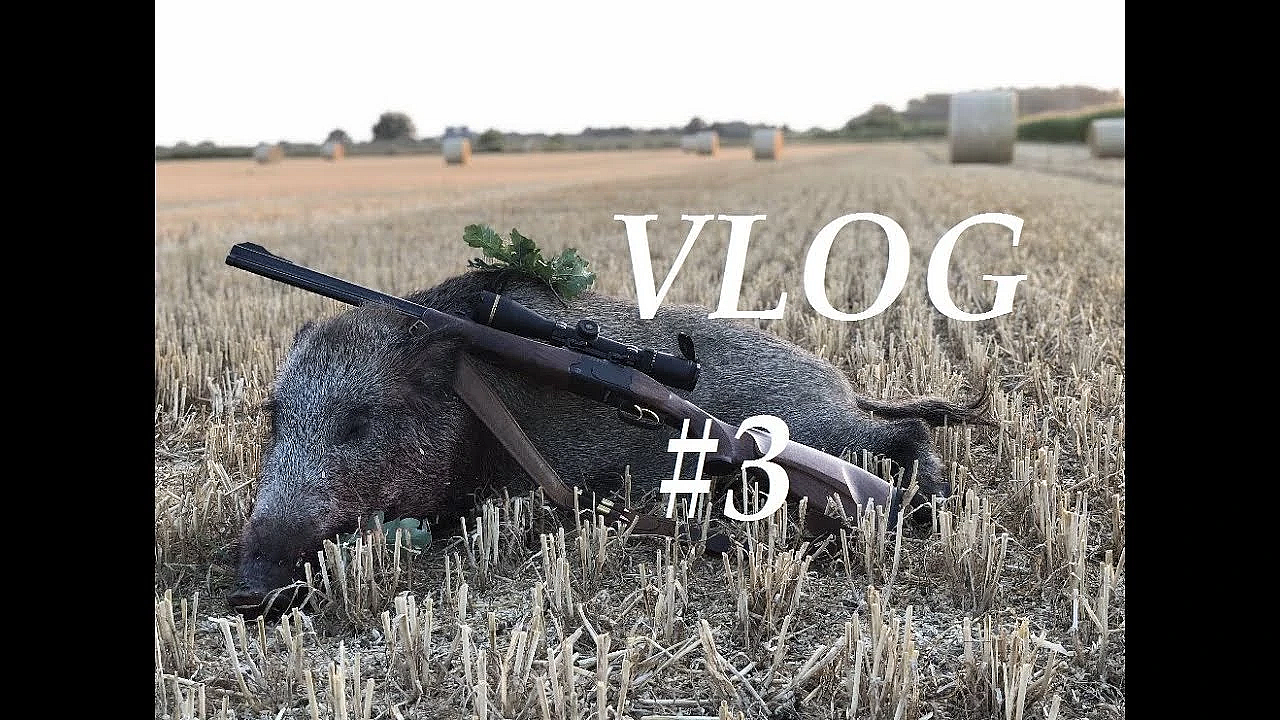 Jagd Dreispross Vlog#3