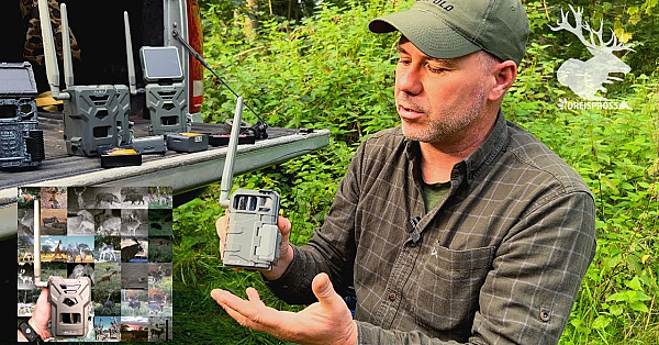 Übersicht Spypoint Wildkameras