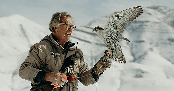 Flying Falcons To The Drone With Steve Chindgren