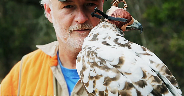 Epic Falconry Montage - Let's Get This Season Started