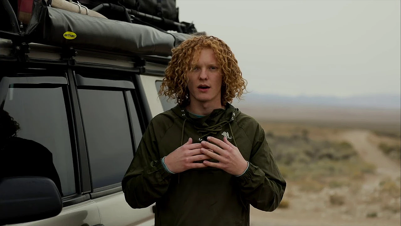 Falconry Told Is Back