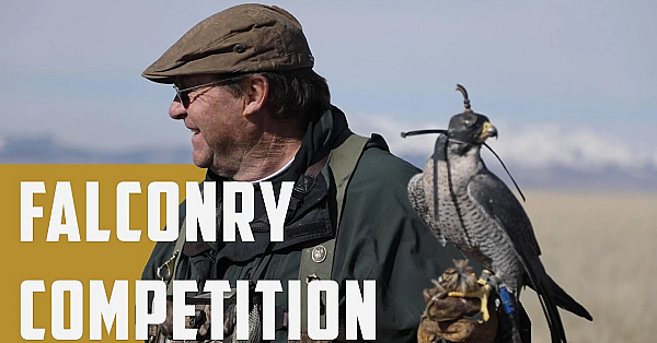 The Ultimate Falconry Competition