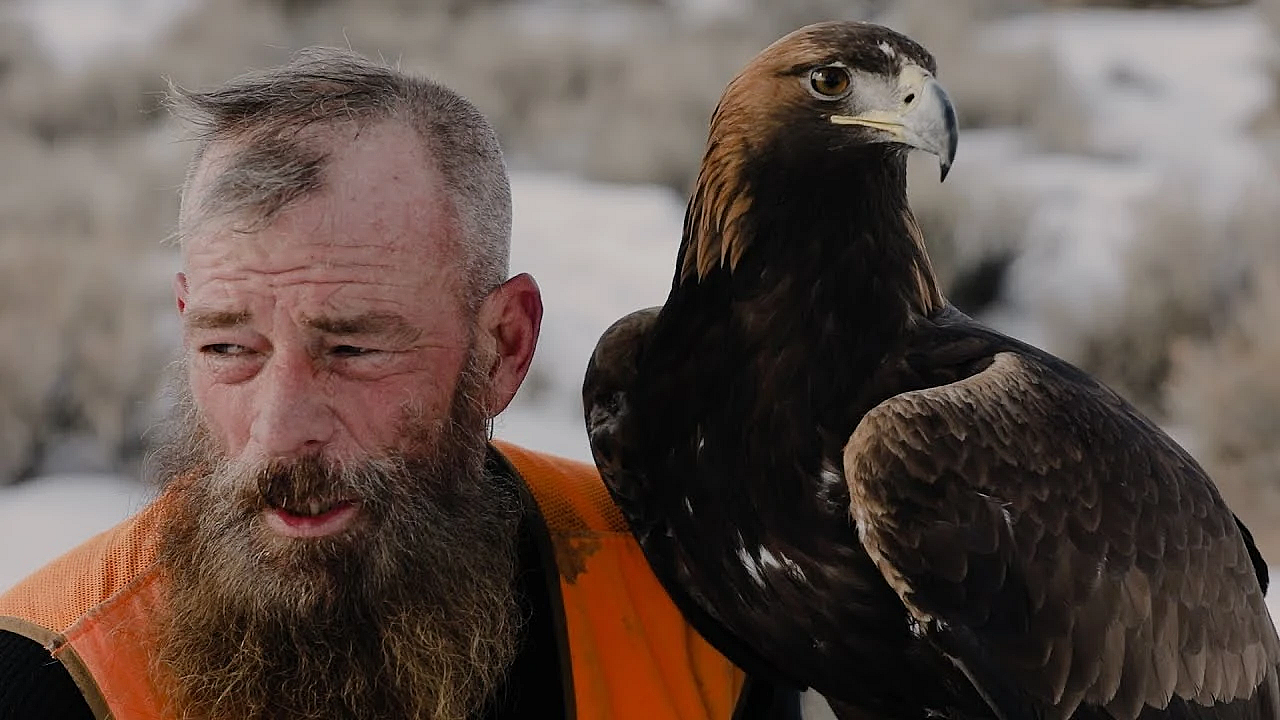 Save Eagle Falconry, Save Eagles