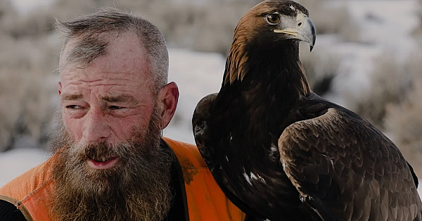 Save Eagle Falconry, Save Eagles