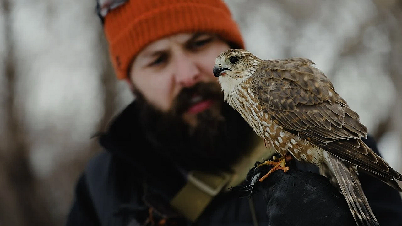 Utah Merlin Meet - Featuring Austin Gunther