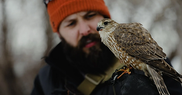 Utah Merlin Meet - Featuring Austin Gunther