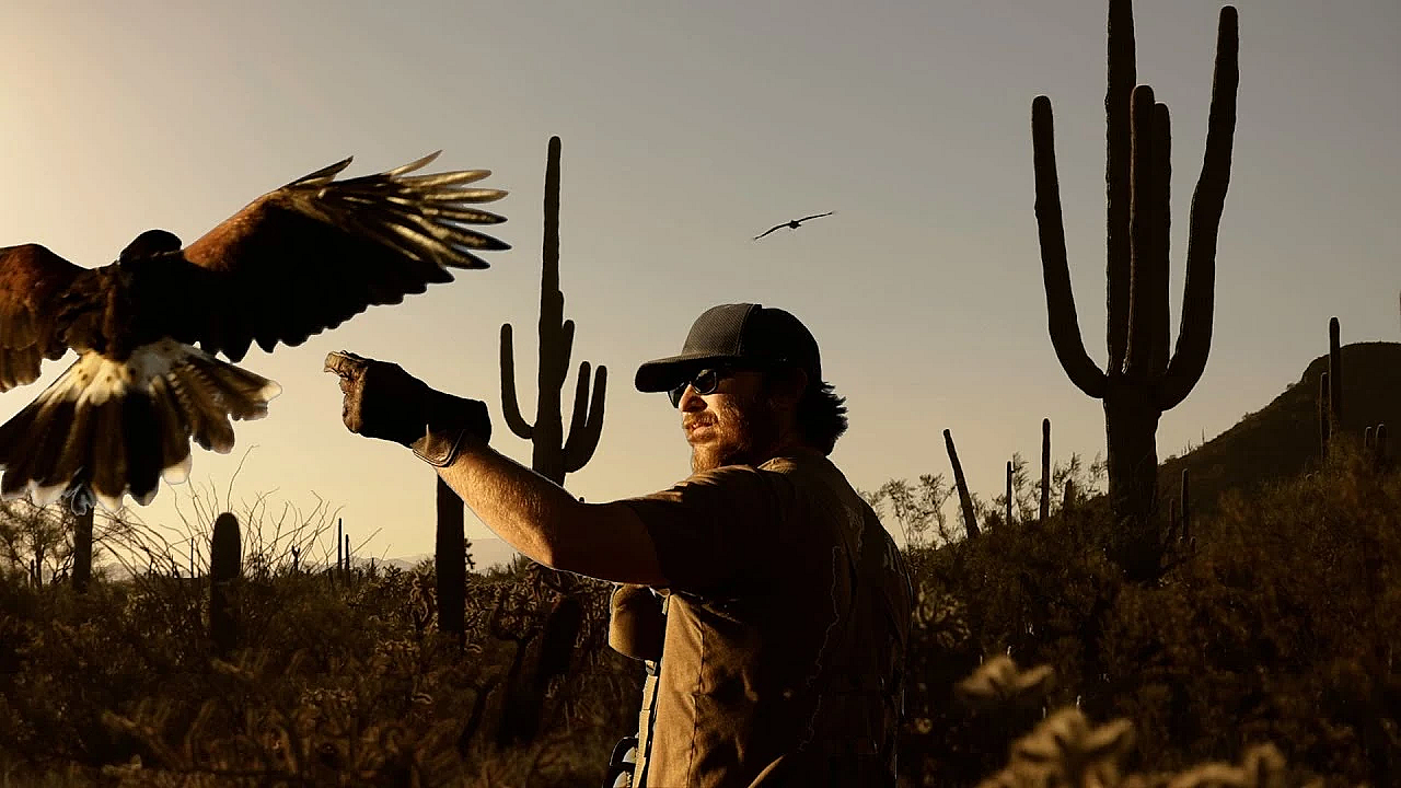 Sonoran Specialists, Hunting With Hawks In The Arizona Desert