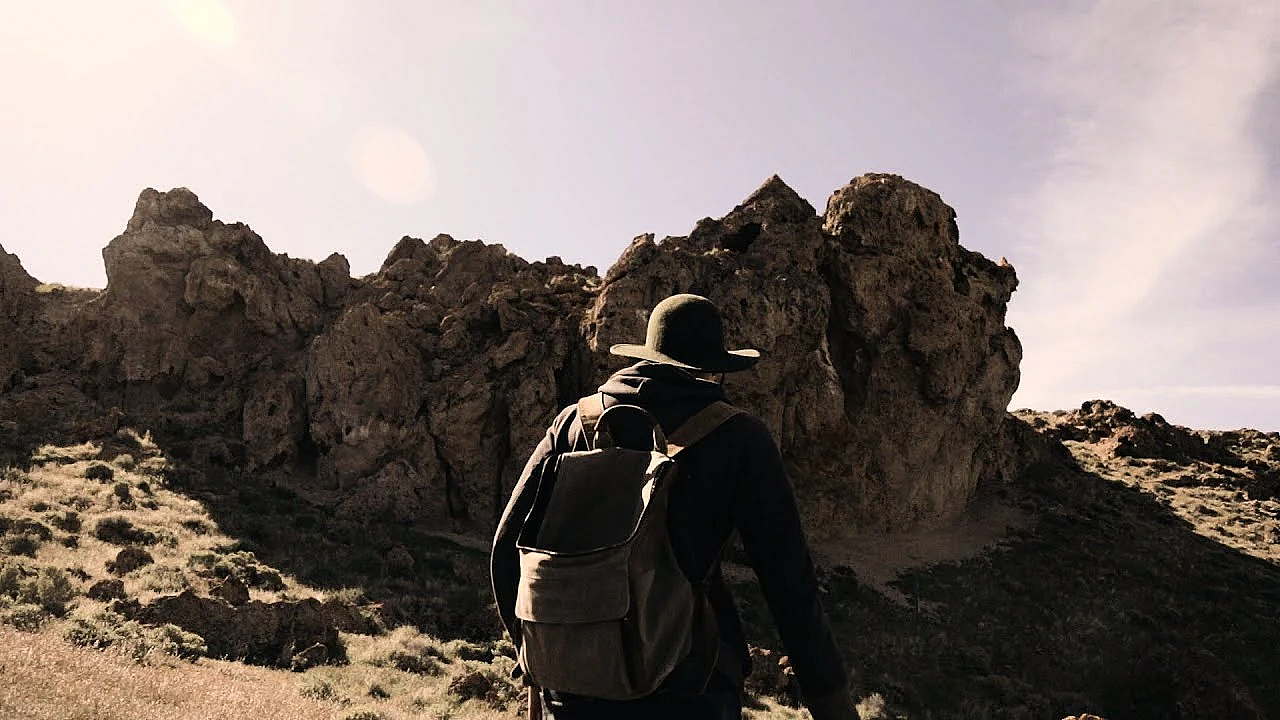Pulling A Prairie Falcon For Falconry