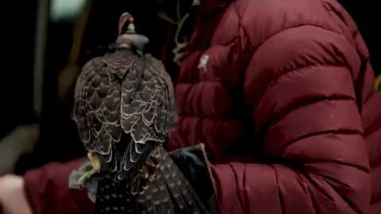 Falconry Told Podcast